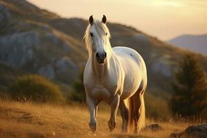 ai gerado branco cavalo ou égua dentro a montanhas às pôr do sol. ai gerado foto