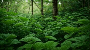 ai gerado construir uma Series do poemas ou haicais este capturar a essência do isto verde paraíso, incorporando vívido imagens e sensorial detalhes. foto