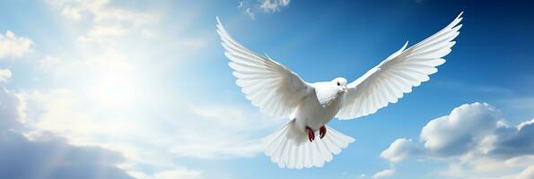 ai gerado branco pomba contra a azul céu. símbolo do Paz e liberdade foto
