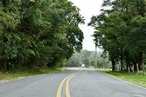 uma estrada com árvores em ambos lados e uma amarelo linha foto
