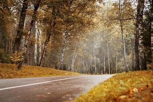 estrada na floresta de outono foto