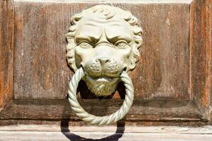 uma leão cabeça em uma de madeira porta lidar com foto