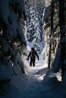 ai gerado uma snowboarder navegação através uma floresta do coberto de neve árvores foto