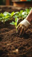 ai gerado jardineiro usando uma espátula para plantar uma plantinha dentro uma Panela com uma vibrante, verde fundo foto