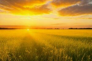 ai gerado dourado hora pôr do sol em a campo. pró foto