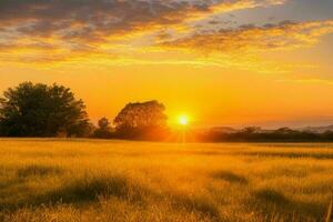 ai gerado dourado hora pôr do sol em a campo. pró foto