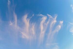 cirro nuvem com azul céu. foto