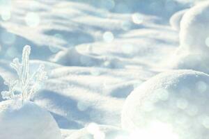 Natal inverno cartão. Nevado galhos, bolas de neve, Sol brilho, montes de neve superfície, luz e sombra jogar. foto