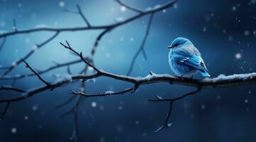 ai gerado azul pássaro sentado em pequeno ramo dentro Nevado noite, foto