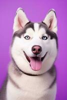 ai gerado uma fechar-se retrato do uma rouco cachorro com azul olhos e uma roxa fundo foto