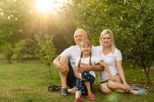 retrato do alegre estendido família sentado dentro a parque foto