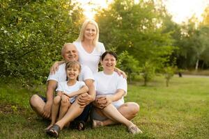 retrato do alegre estendido família sentado dentro a parque foto