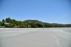 uma de praia com Palma árvores e uma montanha dentro a fundo foto