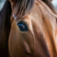 ai gerado □ Gentil Castanho cavalo, com suave olhos e uma curioso expressão foto