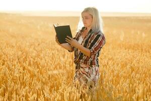 mulher segurando uma Bíblia, uma natural campo. foto