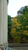 a lindo campus outono Visão com a colorida árvores e folhas dentro a chuvoso dia foto