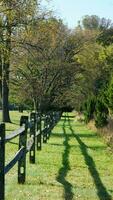 a madeira cerca Visão com a verde Prado e colorida árvores Como fundo dentro outono foto