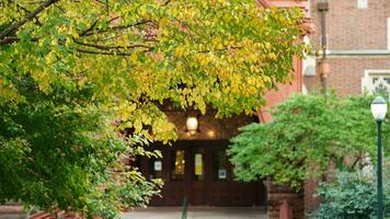 a lindo campus Visão com a colorida árvores e folhas dentro outono foto
