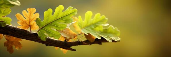 ai gerado dourado luz solar transmissão através vibrante carvalho árvore folhas dentro uma pitoresco natural configuração foto