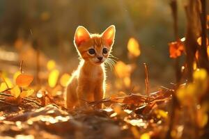 ai gerado jogando com gatos sem fim felino Diversão foto