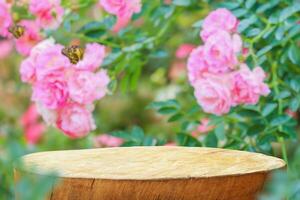 esvaziar velho árvore toco mesa topo com borrão rosa jardim fundo para produtos exibição foto