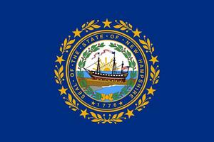 a oficial atual bandeira do Novo Hampshire EUA estado. Estado bandeira do Novo hampshire. ilustração. foto