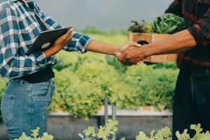 dois ásia agricultores inspecionando a qualidade do orgânico legumes crescido usando hidroponia. foto