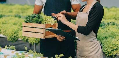 jovem ásia mulher e Senior homem agricultor trabalhando juntos dentro orgânico hidropônico salada vegetal Fazenda. moderno vegetal jardim proprietário usando digital tábua inspecionar qualidade do alface dentro estufa jardim. foto