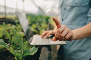 ásia mulher agricultor usando digital tábua dentro vegetal jardim às estufa, o negócio agricultura tecnologia conceito, qualidade inteligente agricultor. foto