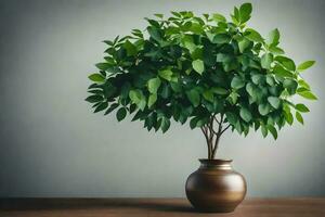 ai gerado uma em vaso plantar dentro uma branco vaso em uma mesa foto