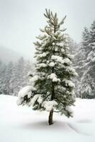 pinho árvores ou decorado Natal árvore coberto de neve em lindo inverno. Natal tema ao ar livre de ai gerado foto