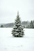 pinho árvores ou decorado Natal árvore coberto de neve em lindo inverno. Natal tema ao ar livre de ai gerado foto