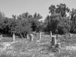 a cidade de tunis na tunísia foto