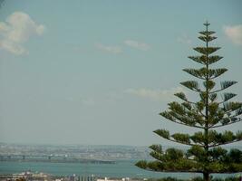 a cidade de tunis foto