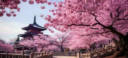 ai gerado a lindo florescendo cereja árvore dentro frente do a lindo pagode foto