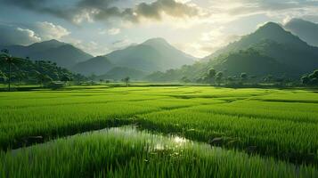 ai gerado verde arroz Campos dentro a chuvoso estação lindo natural cenário foto