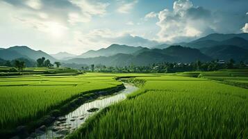 ai gerado verde arroz Campos dentro a chuvoso estação lindo natural cenário foto