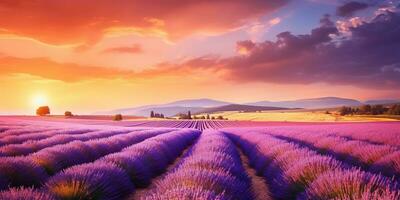 ai gerado Maravilhoso cenário surpreendente verão panorama do florescendo lavanda flores foto