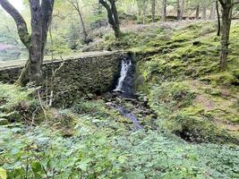 uma Visão do a norte país de gales campo perto lyn mawr dentro Snowdonia foto