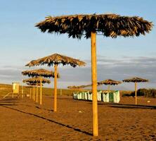 uma de praia com guarda-chuvas foto