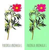 ai gerado ilustração do paeonia anomalia generativo ai. fofa floral motivo. foto