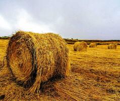 feno fardos dentro uma campo com uma nublado céu foto