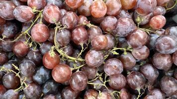 fechar acima do cru orgânico doce vermelho uvas fundo, vinho uvas textura, saudável frutas vermelho vinho uvas fundo, topo Visão foto