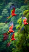 ai gerado uma rebanho do papagaios dentro voo, seus vibrante plumagem contrastante contra a exuberante verde folhagem foto