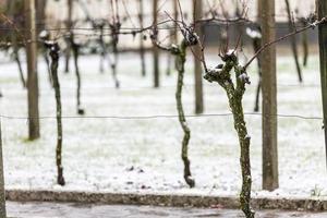 primeira neve nas cidades montanhosas. entre outono e inverno foto