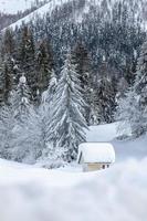 após a queda de neve. últimas luzes do crepúsculo em sappada. magia das dolomitas foto