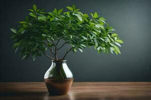 ai gerado uma em vaso plantar em uma mesa foto