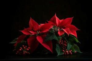 ai gerado vermelho poinsétia flor. gerar ai foto