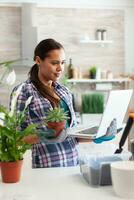 mulher dentro cozinha lendo sobre flores segurando computador portátil e pequeno plantar. decorativo, plantas, crescente, estilo de vida, projeto, botânica, sujeira, doméstico, crescer, folha, passatempo, semeadura, feliz. foto