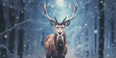 ai gerado nobre veado masculino dentro a inverno neve floresta. artístico inverno Natal panorama. ai gerado foto